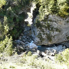 P1030443 (Copier)